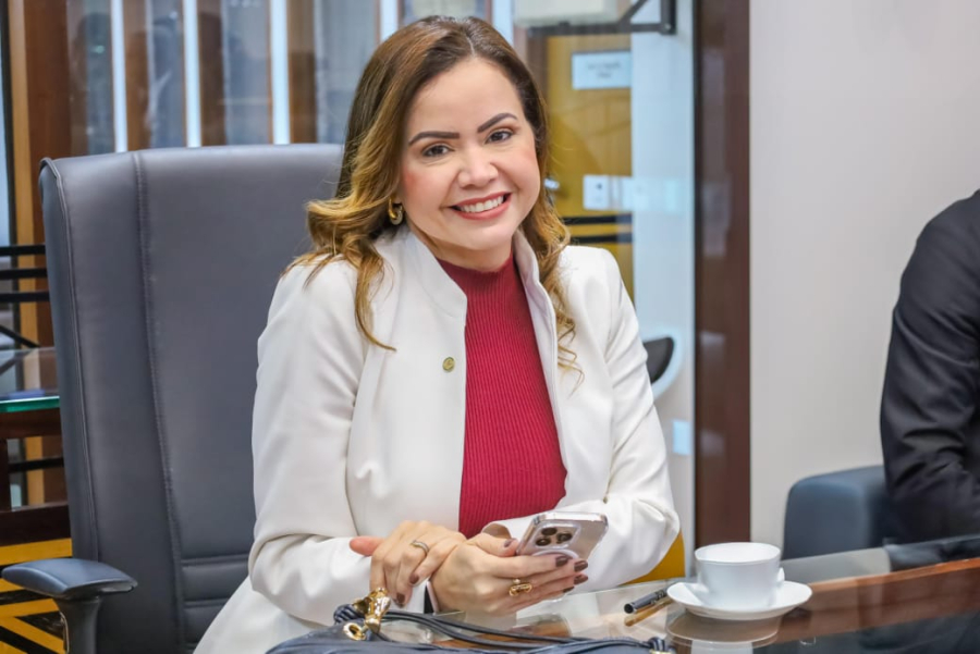 Dra. Michelle Melo cobra metas do governo e propõe emendas à LDO em defesa de servidores e produtores rurais
