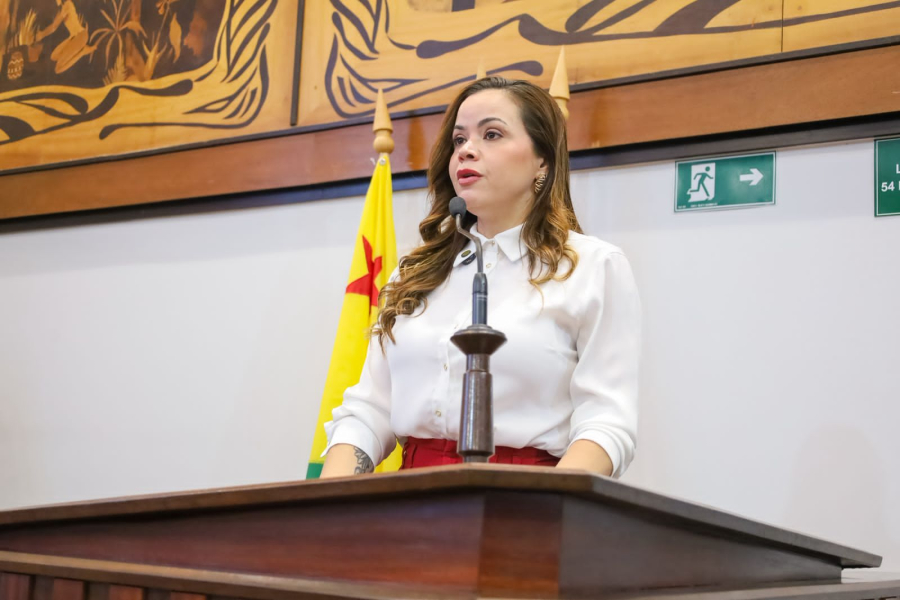 Dra. Michelle Melo considera como “imoral e ilegal” o PL que cria novos cargos comissionados
