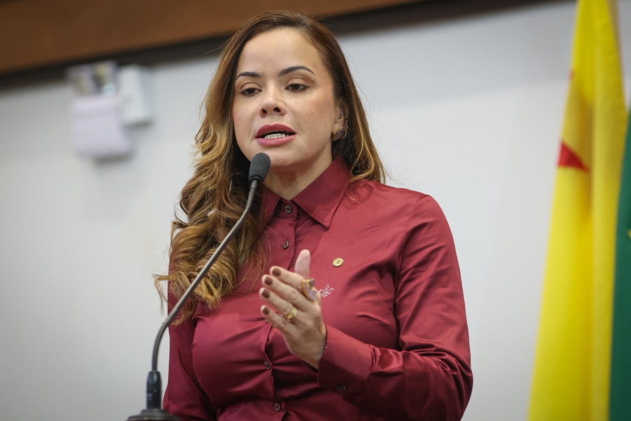 Michelle Melo defende diálogo com o Governo para viabilizar Hospital do Câncer no Vale do Juruá